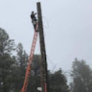 Meet your Posher, Harrison